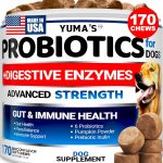 dog probiotic supplement