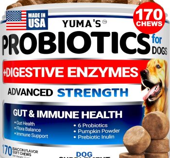 dog probiotic supplement