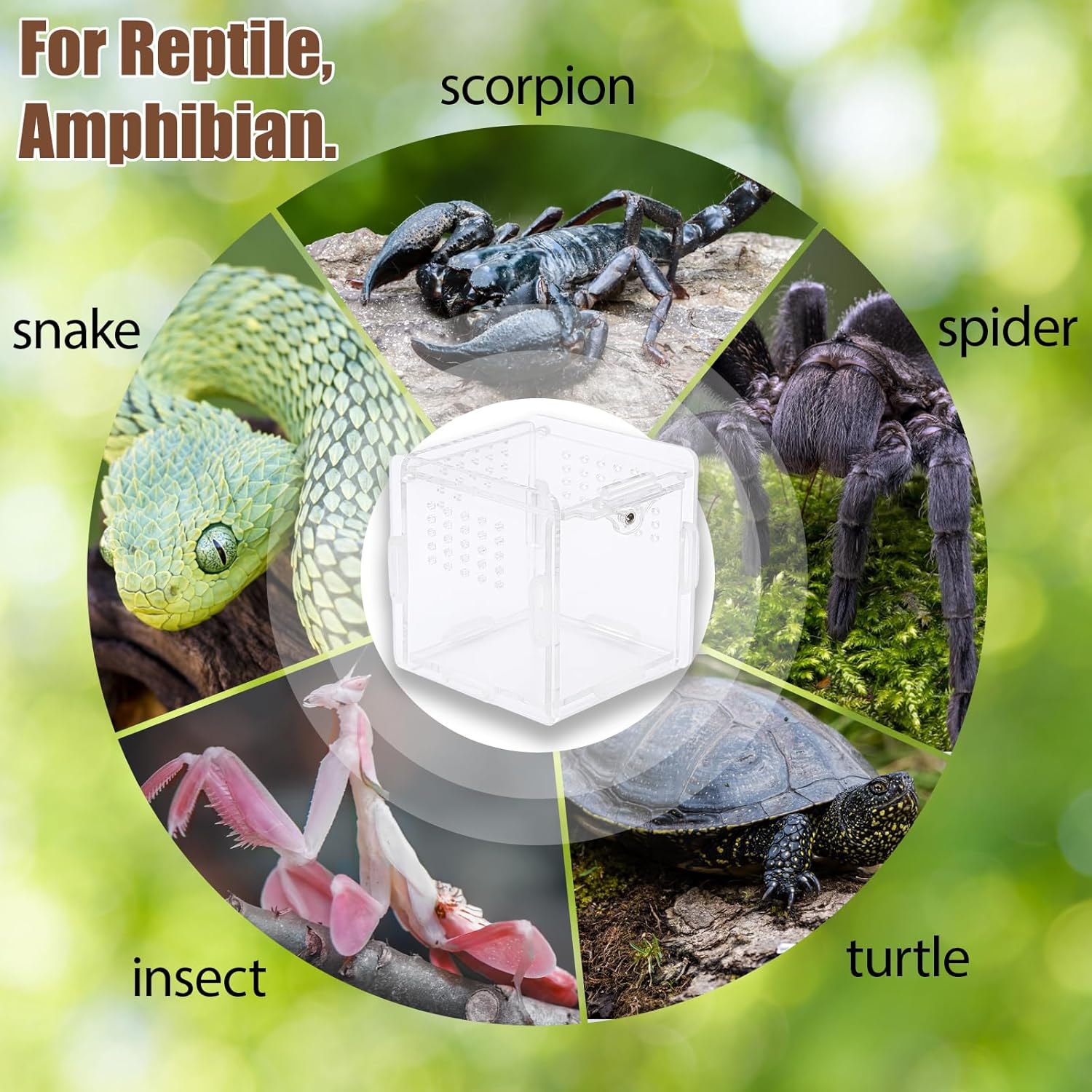 3PC Reptile Hammock, Bearded Dragon Hammock, Climbing Set with Wooden Ladder, Ideal for Reptile Habitat Enrichment, Includes Triangle and Square Pads for Lizards, Geckos, Tortoises - Happypetzone.online - Image 7