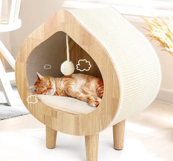 cat bed luxury