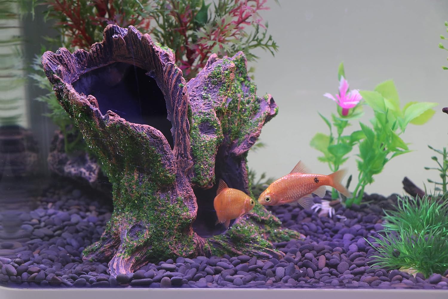 AQUA KT Aquarium Landscape Tree Stump Trunk Hollow Betta Cichlid Cave Rocks for Fish Hiding Tank Decoration Decorations - Happypetzone.online - Image 8