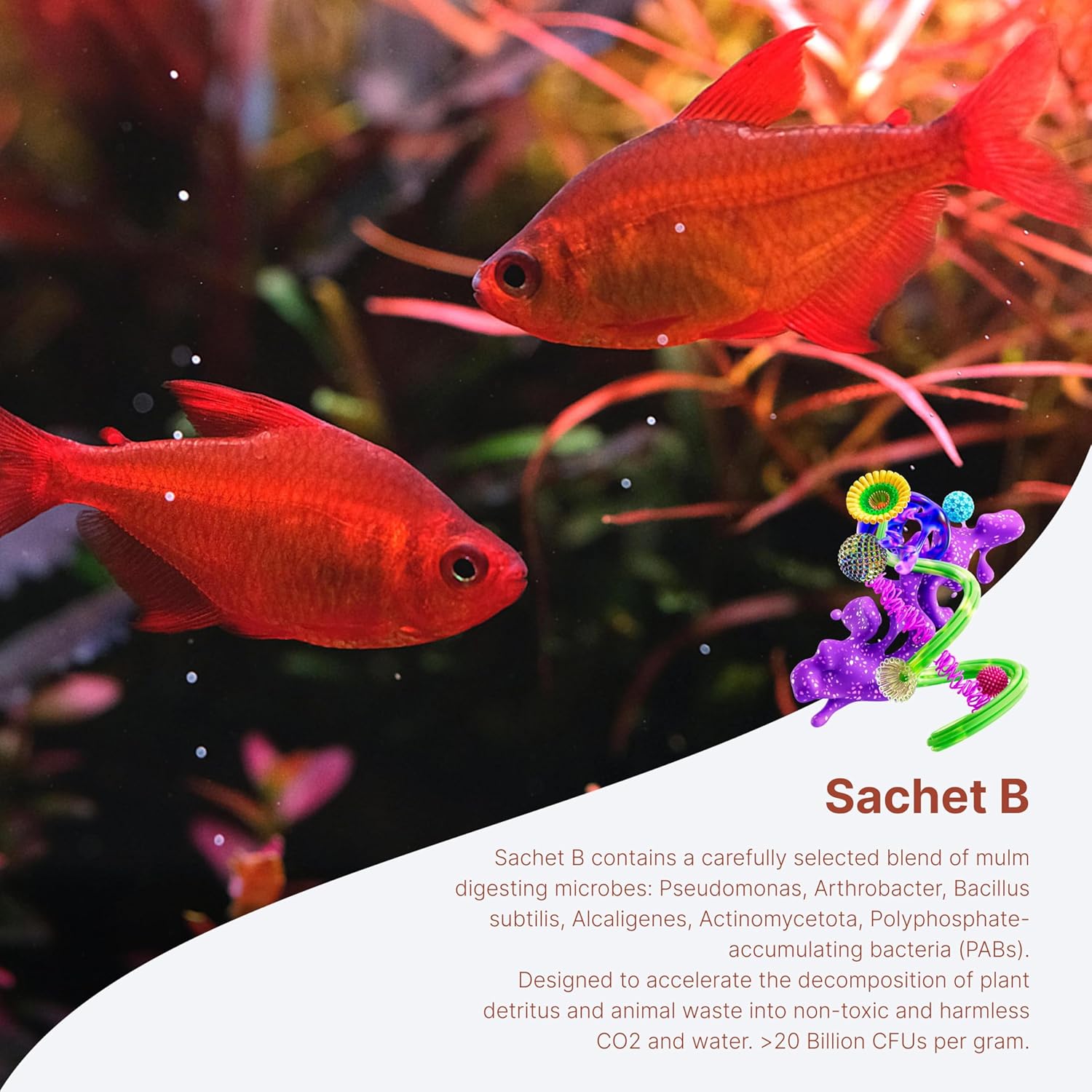 2Hr Aquarist APT Balance Freshwater Aquarium Starter Bacteria - Happypetzone.online - Image 6