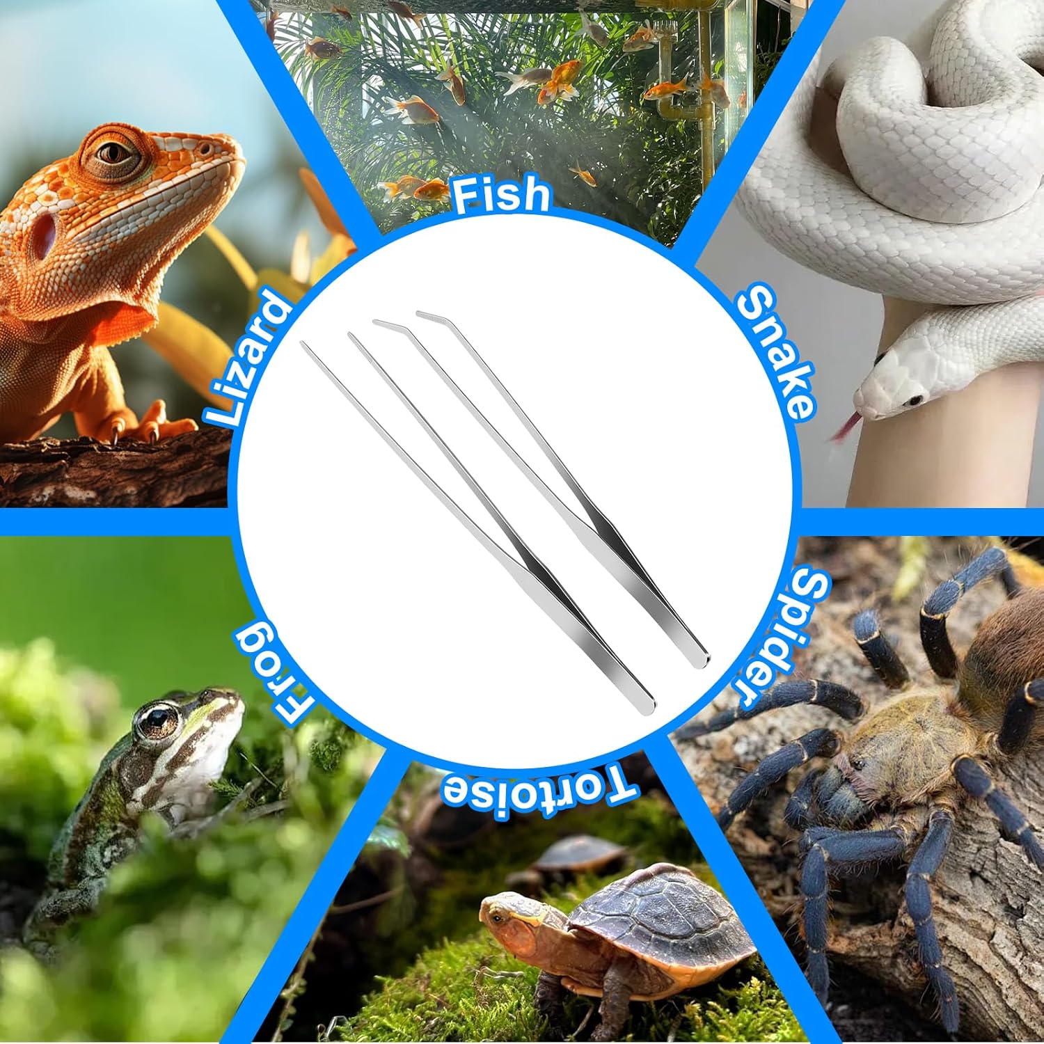 2 Pcs Reptile Feeding Tongs, 10.6IN Straight & Curved Extra Long Tweezers, Premium Stainless Steel Feeding Tools for Bearded Dragon, Lizards, Snakes, Aquarium & Terrarium - Happypetzone.online - Image 7