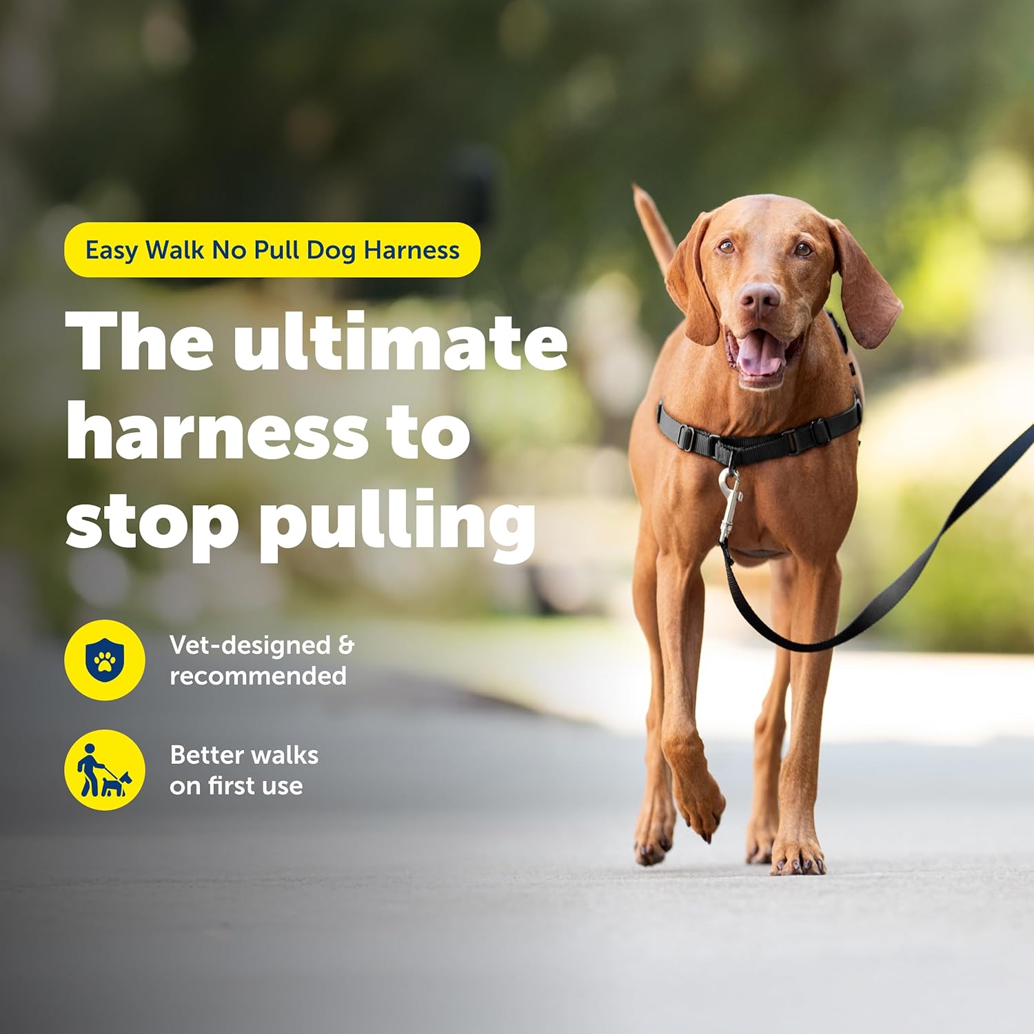 PetSafe Easy Walk Harness for Dogs - Pull-Free Walks - Patented Martingale Loop Design - Front Chest Leash Attachment - Comfort Straps - Breathable Harness Design - Medium, Black/Silver - Happypetzone.online - Image 2
