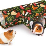 guinea pig tunnel toys