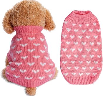 dog clothes cute