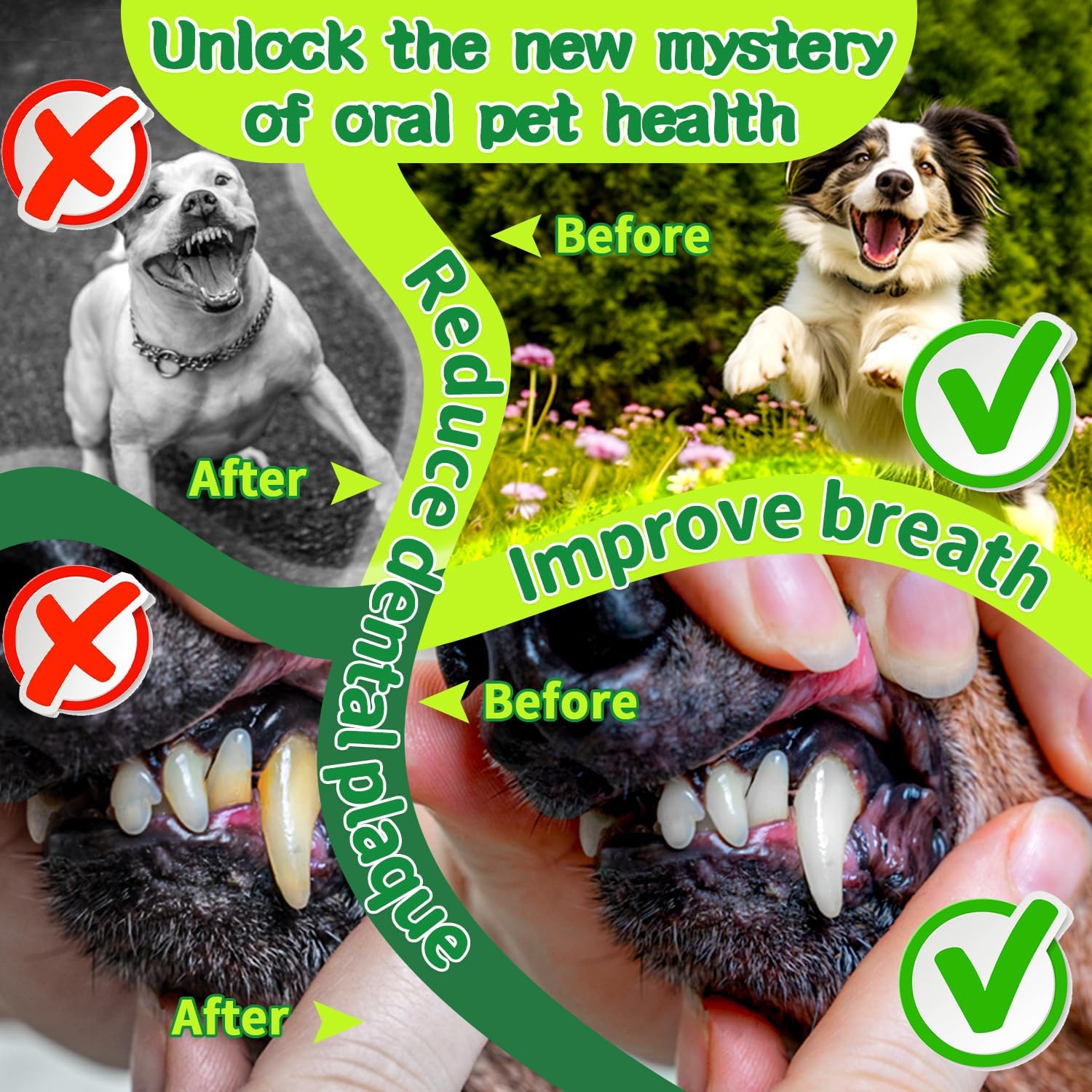 Mimo Style Dog Dental Powder, Dog Teeth Cleaning Powder, Targets Tartar & Reduces Plaque & Bad Breath - Teeth Cleaning Made Easy Eliminate - Meat-Flavored Formulated - Happypetzone.online - Image 3