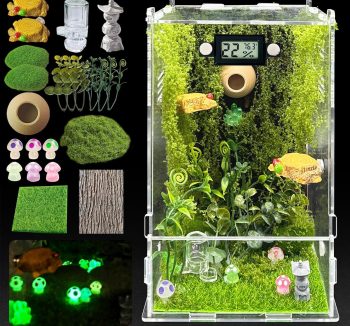 terrarium kit complete