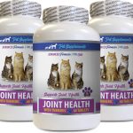 cat joint supplement