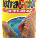 best fish food