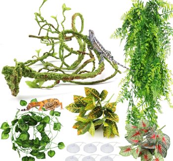 reptile terrarium decor