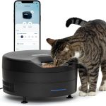 healthy cat food brands
