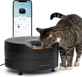 healthy cat food brands