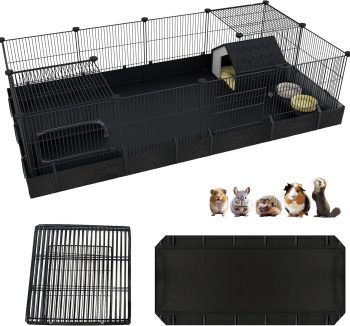 guinea pig enclosure indoor