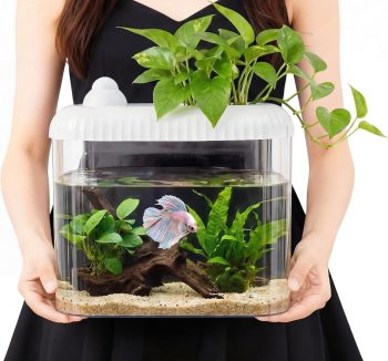 premium aquarium tank
