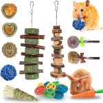 rabbit treats natural