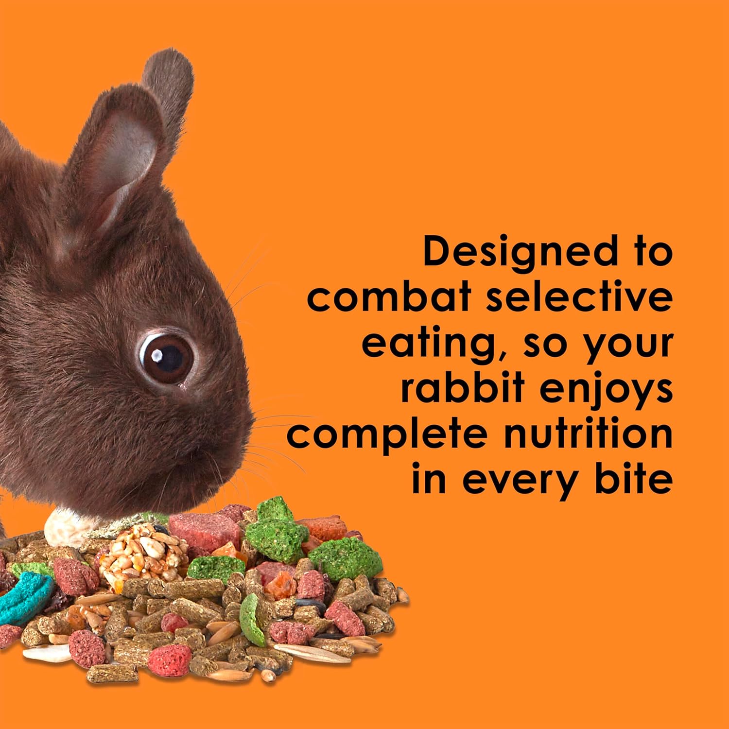 Kaytee Fiesta Rabbit Food, Nutritious and Fun Blend, Supports Dental Health and Digestion, 3.5 pounds - Happypetzone.online - Image 4