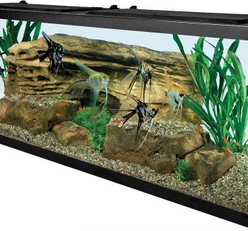 aquarium kit complete
