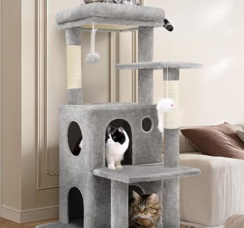 cat tree for big cats