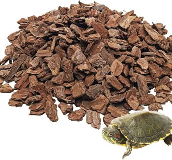 reptile natural habitat bedding