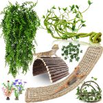 reptile accessories set
