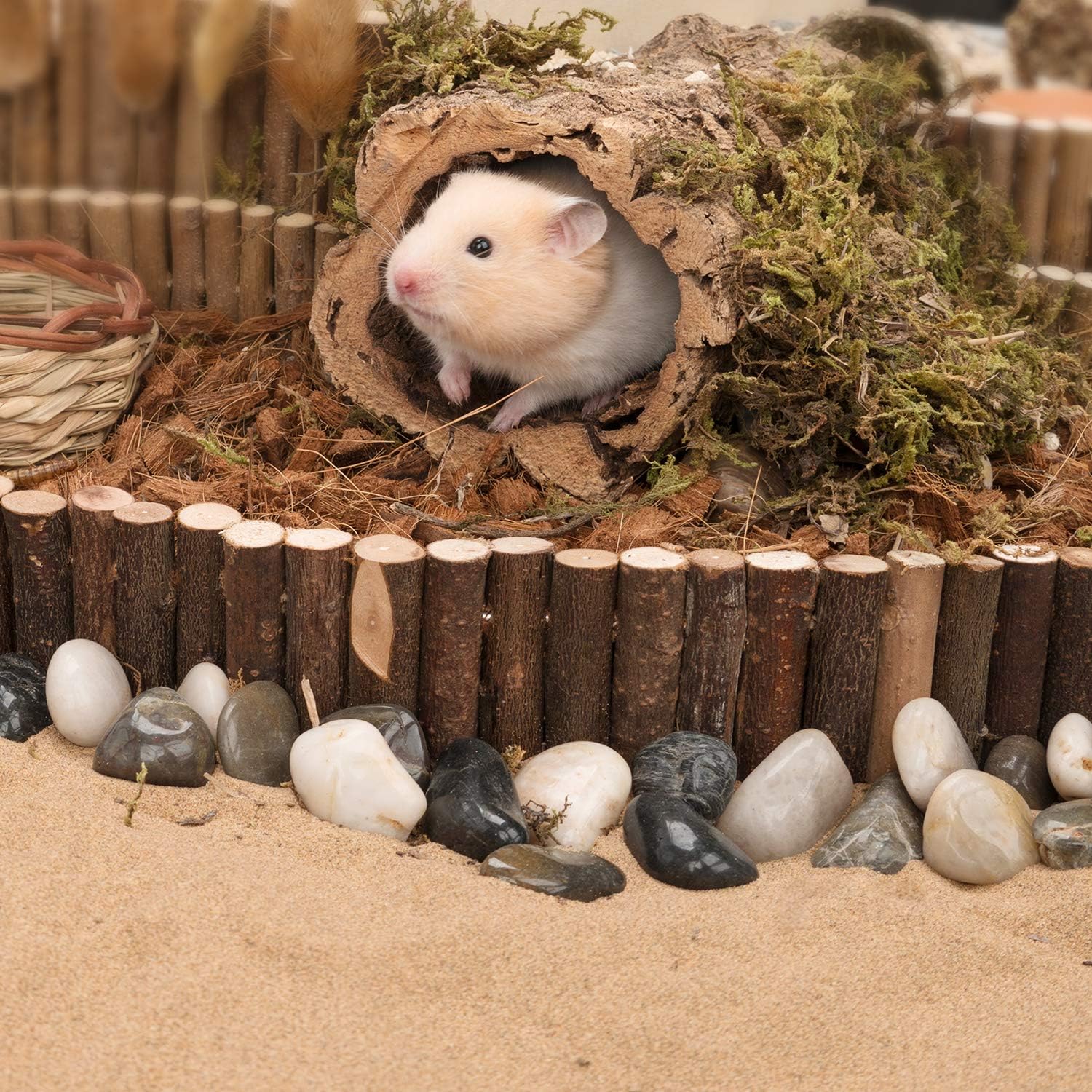 Niteangel Hamster Suspension Bridge Toy - Long Climbing Wooden Ladder for Hamsters Mice Mouse Gerbils Sugar Glider Rat and Other Small Animals (25.6L x 2.8W) - Happypetzone.online - Image 4