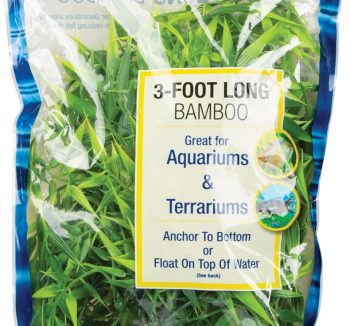 aquarium natural plants