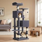 cat climbing tree indoor