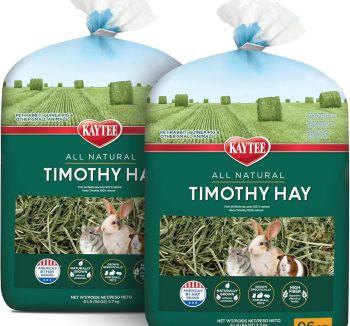 hamster food best
