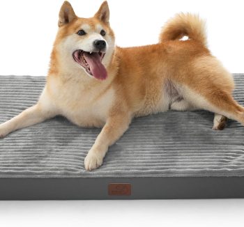 dog bed memory foam