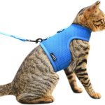 cat harness escape proof