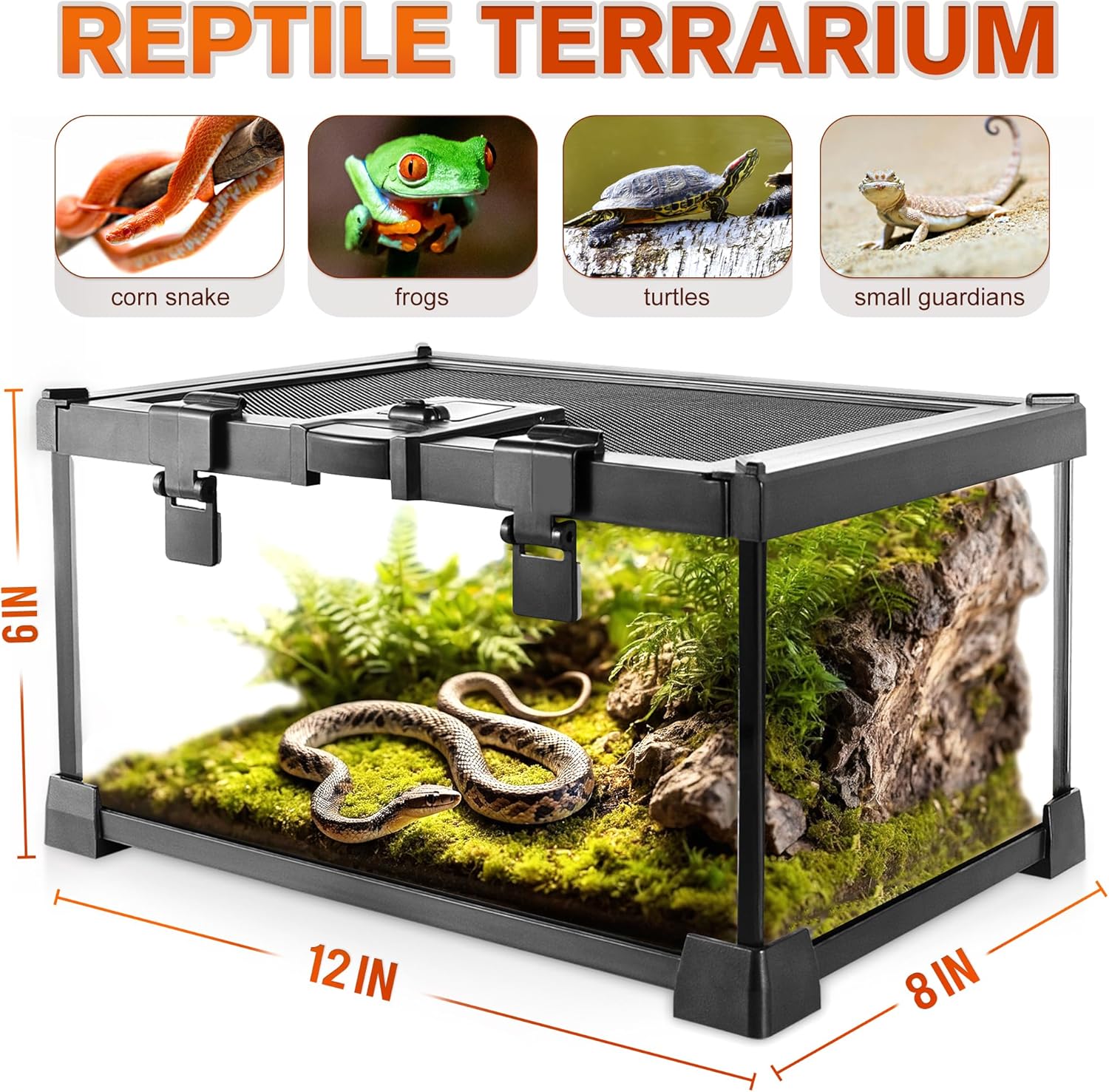 Mini Reptile Glass Terrarium Vivarium 12'' x 8'' x 6'' Full View Tank Small Amphibians Glass Habitat Cage with Feeding Slot & Box Lock Buckle - Happypetzone.online - Image 6