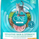 natural cat food