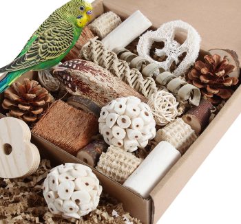 bird toys safe natural