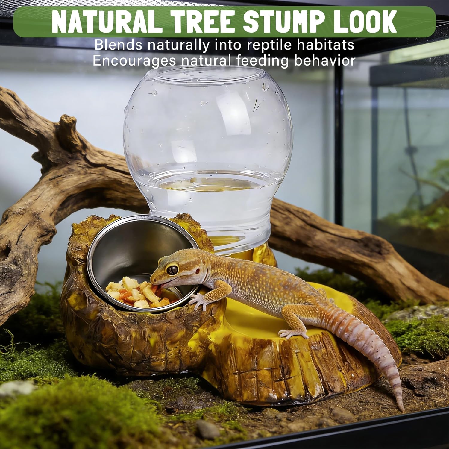 Reptile Food & Water Feeder, Escape Proof Feeding Bowl with Removable Stainless Steel Dish for Mealworms - Happypetzone.online - Image 5