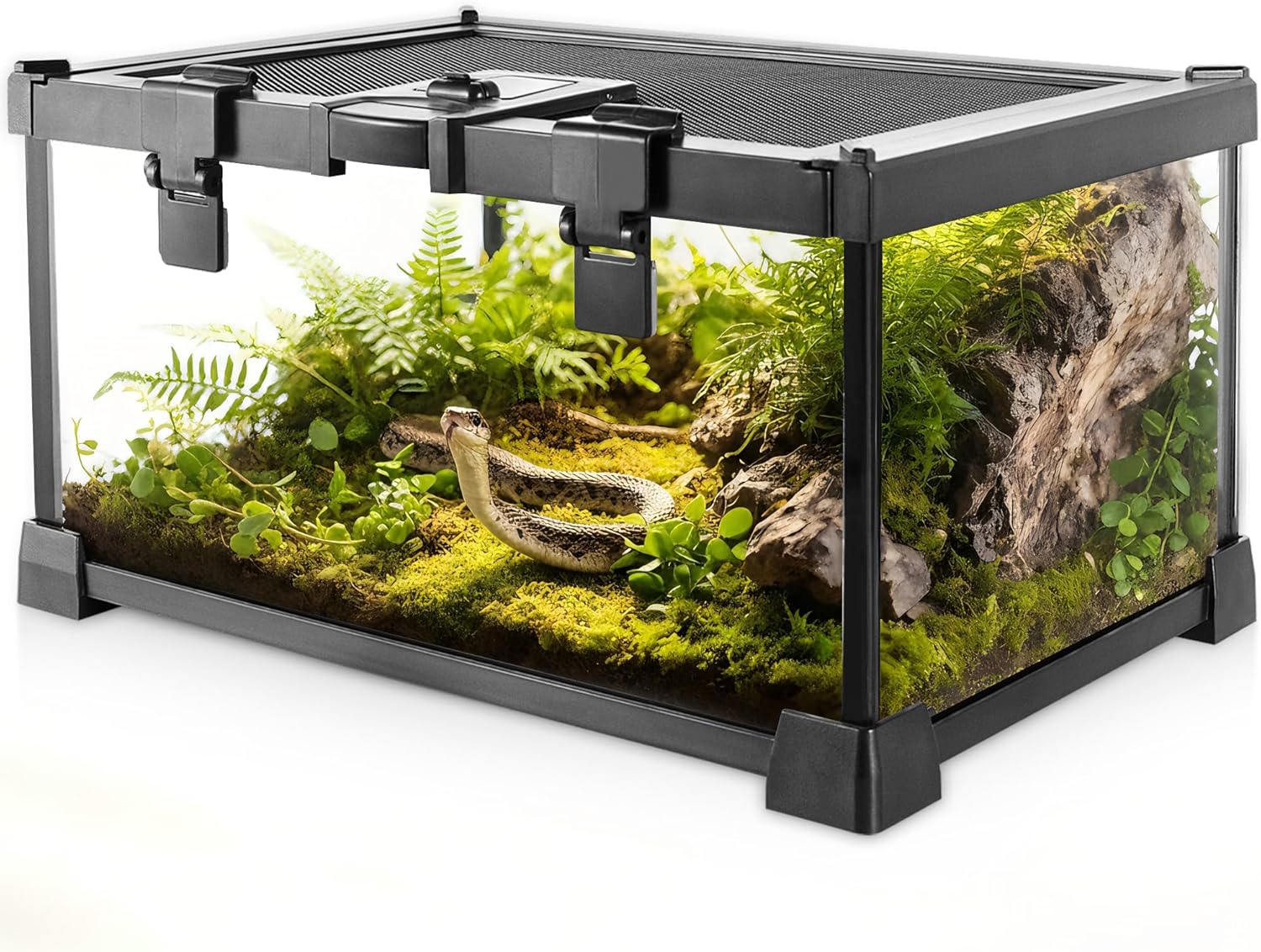 reptile habitat enclosure