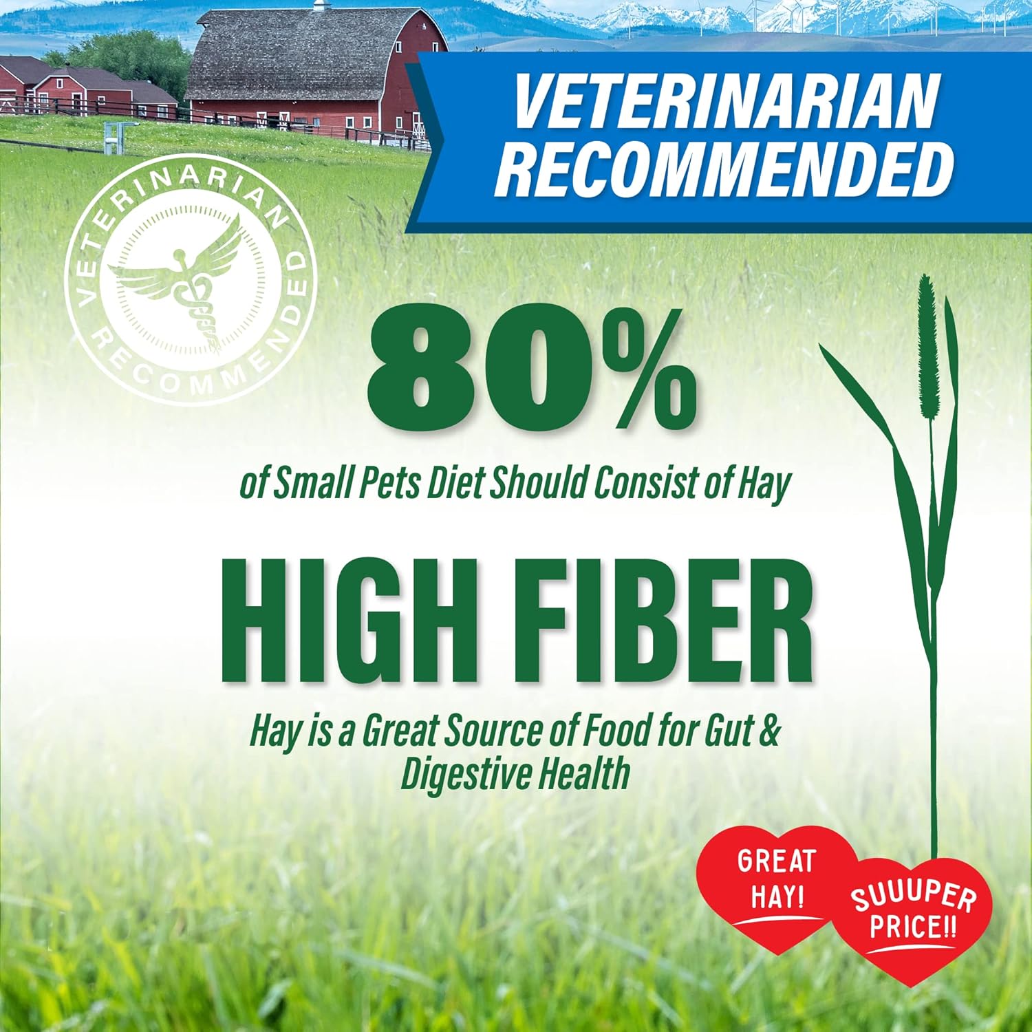 Small Pet Select Value Choice Timothy Hay for Rabbit, Guinea Pig, Bunny, Chinchilla and Other Small Animals, Premium Natural Hay Grown in The US, Pet Food, 8lb - Happypetzone.online - Image 2