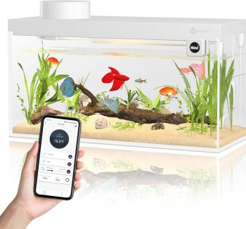 fish tank starter kit