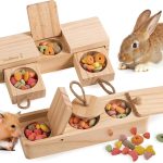 rabbit treats natural