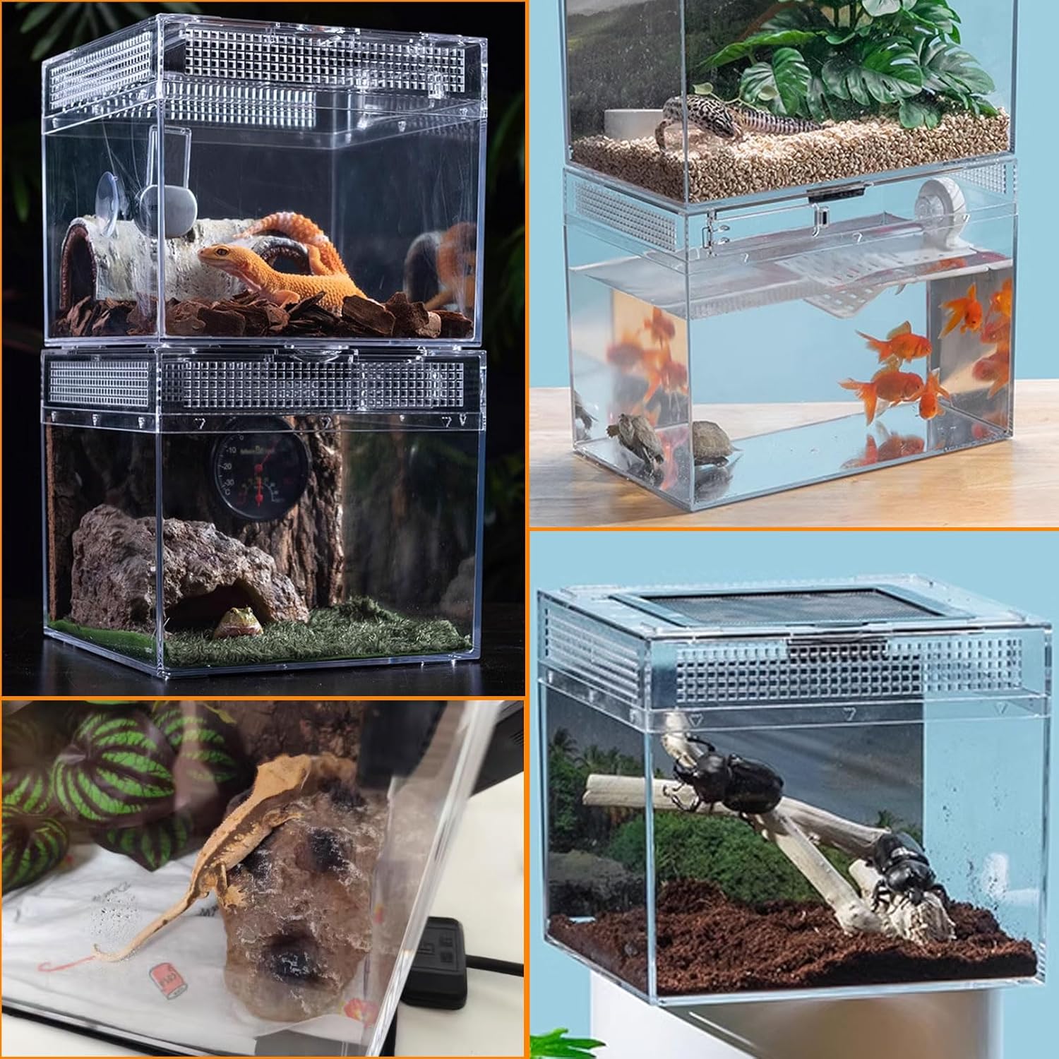 Reptile Terrarium, Jumping Spider Enclosure Starter Kit, Leopard Gecko Habitat Container, 8"x8"x7"Reptile Tank for Tarantula, Hermit Crab, Insect, Fish, Frog, Small Bearded Dragon, Lizard - Happypetzone.online - Image 9