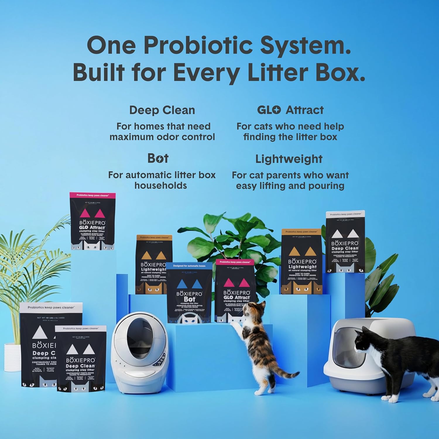 Boxie Probiotic Cat Litter, 40 Day Odor Control, Clumping Clay Kitty Litter, Odor Eliminating Probiotics, Dust-Free, No Fragrances No Fillers, 16 lb - Happypetzone.online - Image 8