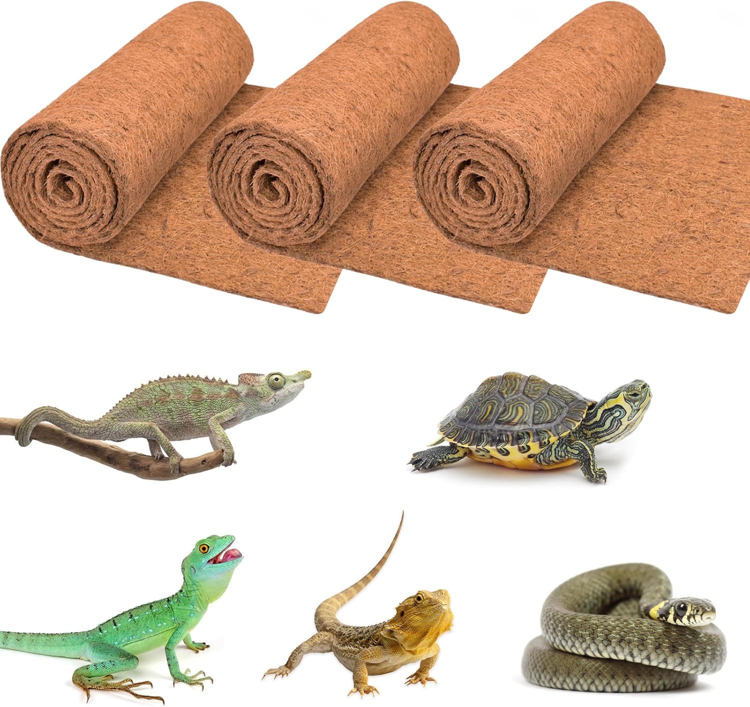 reptile tank liner mat