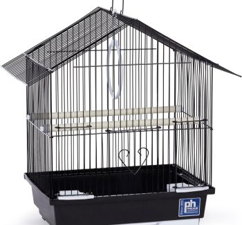 bird cage for finch