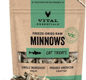healthy cat treats