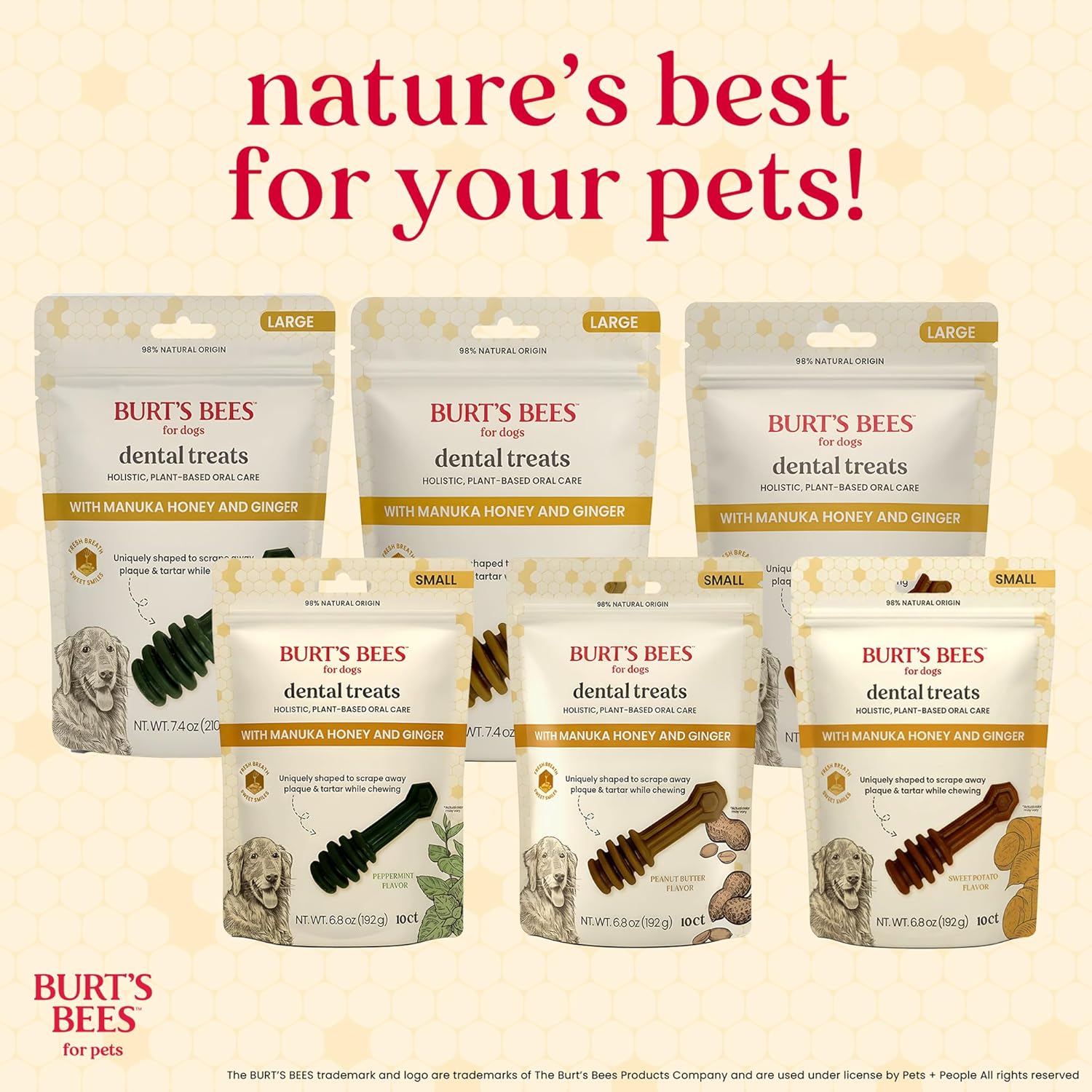 BURT'S BEES FOR PETS Dental Treats for Dogs with Manuka Honey & Ginger, Holistic, Plant-Based Oral Care, 98% Natural Origin Formulas, Peppermint Flavor, Dog Treats Small Dogs, Sz Sm 10ct, 7.4 oz - Happypetzone.online - Image 13
