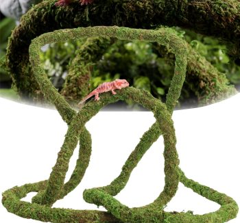 reptile enclosure decor kit