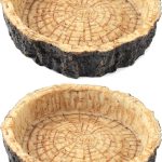 natural reptile food