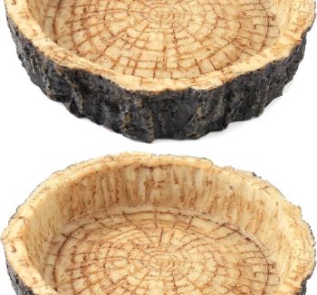 natural reptile food