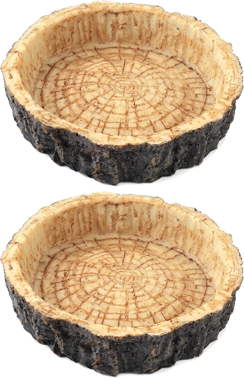 natural reptile food