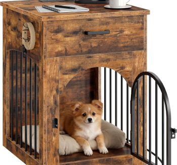 small pet living space